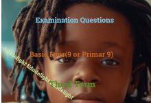 Basic 9 Exam Question Third Term Edudelight