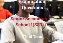 SS3 Exam Question Third Term EduDelight